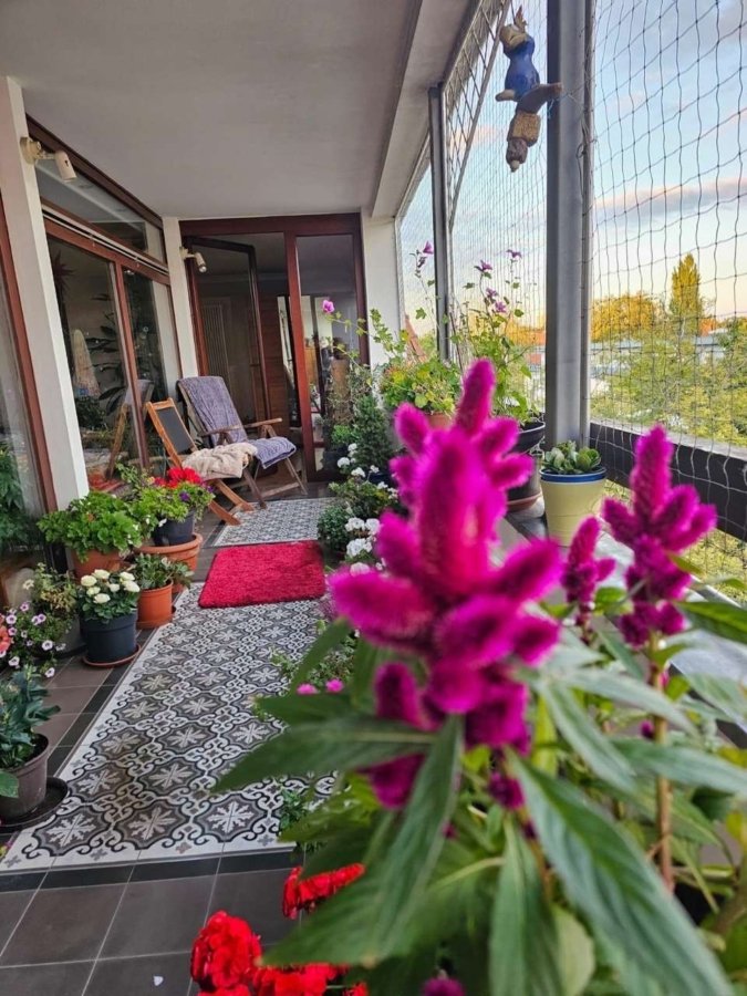 Kleine Sommeroase