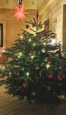 Weihnachten im neuen Zuhause! Familientraum sucht …, 17235 Neustrelitz, Einfamilienhaus