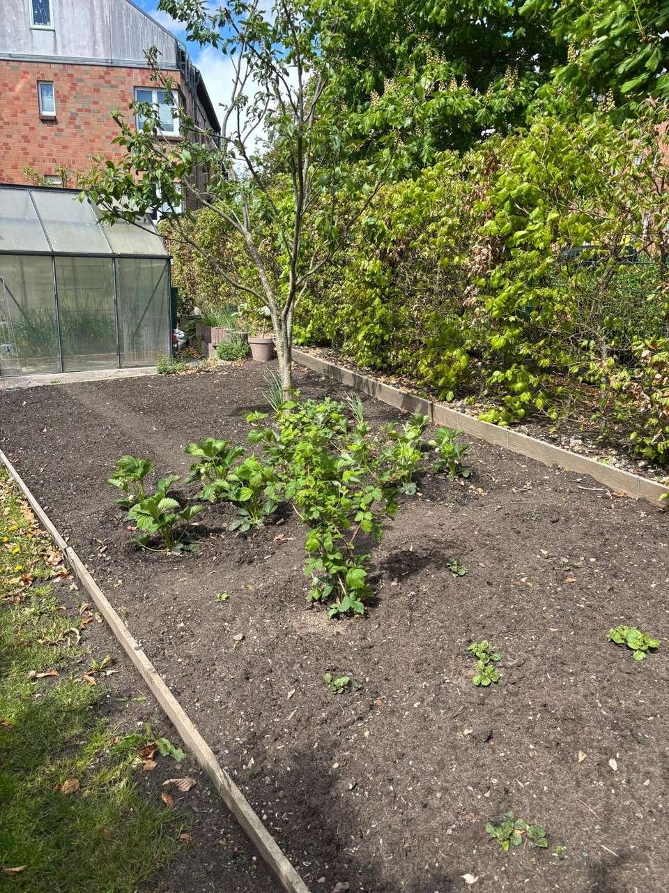 Nutzgartenbereich...
